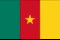 Flag of Cameroon