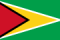 Flag of Guyana